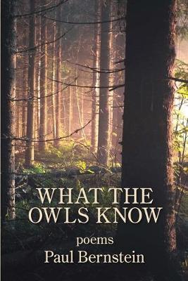 What the Owls Know - Paul Bernstein