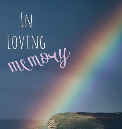 In Loving Memory Funeral Guest Book, Celebration of Life, Wake, Loss, Memorial Service, Condolence Book, Church, Funeral Home, Thoughts and In Memory - Lollys Publishing