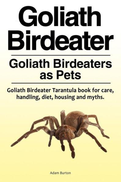Goliath Birdeater . Goliath Birdeaters as Pets. Goliath Birdeater Tarantula book for care, handling, diet, housing and myths. - Adam Burton
