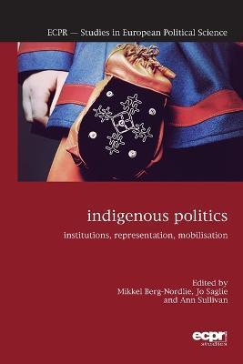 Indigenous Politics: Institutions, Representation, Mobilisation - Mikkel Berg-nordlie