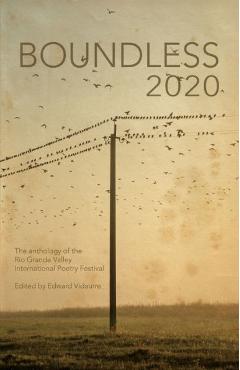 Coperta cărții 'Boundless 2020: the official anthology of the Rio Grande Valley International Poetry Festival - Edward Vidaurre'