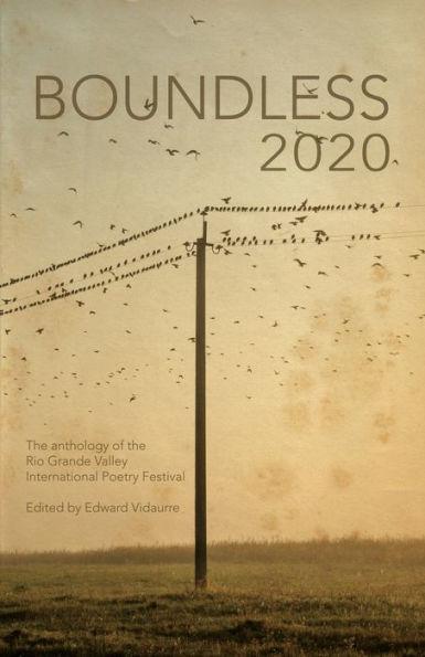 Coperta cărții 'Boundless 2020: the official anthology of the Rio Grande Valley International Poetry Festival - Edward Vidaurre'
