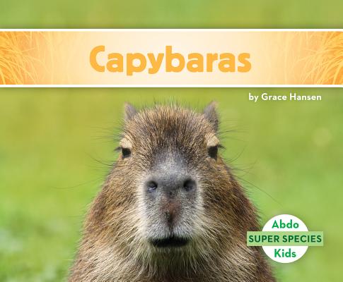 Capybaras - Grace Hansen