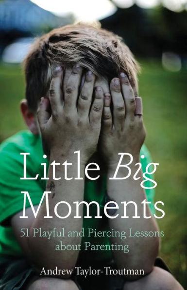 Little Big Moments: 51 Playful and Piercing Lessons about Parenting - Andrew Taylor-troutman