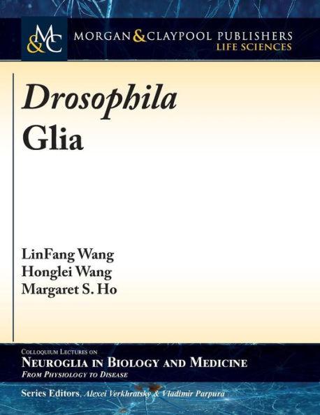 Drosophila Glia - Linfang Wang