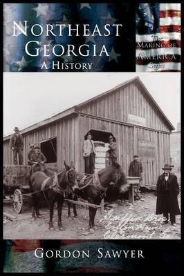 Northeast Georgia: A History - Gordon Sawyer