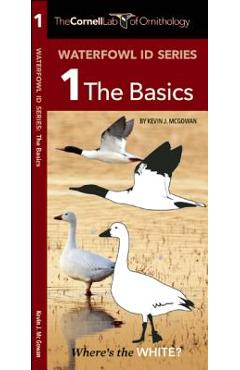 Poza produsului Waterfowl Id Series: 1 the Basics - Kevin J. Mcgowan