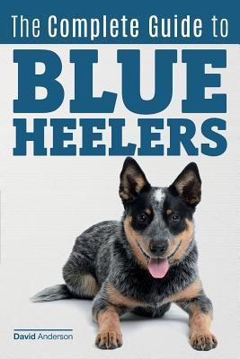 The Complete Guide to Blue Heelers - aka The Australian Cattle Dog. Learn About Breeders, Finding a Puppy, Training, Socialization, Nutrition, Groomin - David Anderson