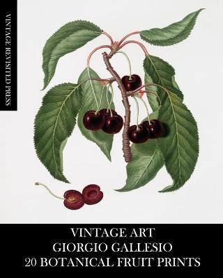 Vintage Art: Giorgio Gallesio 20 Botanical Fruit Prints - Vintage Revisited Press