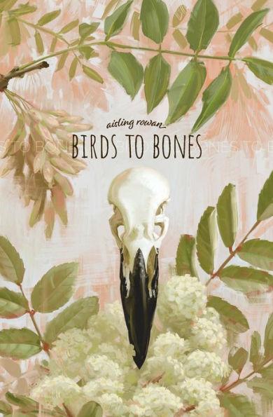 Birds to Bones: Writings on Grief, Gender, Mormonism, and Magic - Aisling Rowan