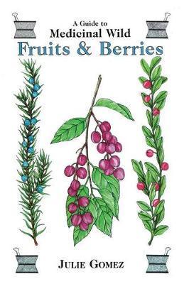 Guide to Medicinal Wild Fruits & Berries - Julie Gomez