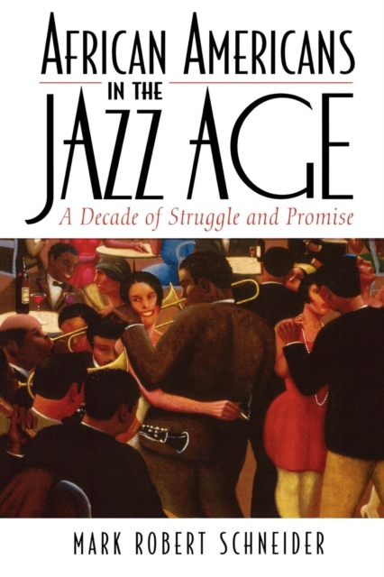 African Americans in the Jazz Age: A Decade of Struggle and Promise - Mark R. Schneider