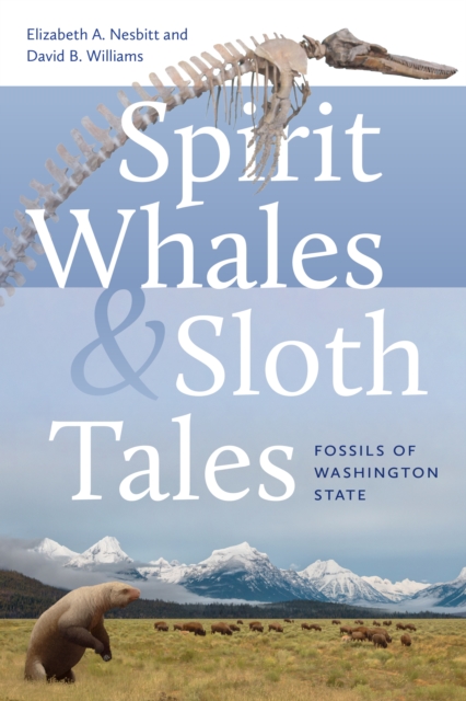 Spirit Whales and Sloth Tales: Fossils of Washington State - Elizabeth A. Nesbitt