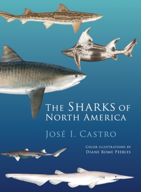 Sharks of North America - Jose I. Castro