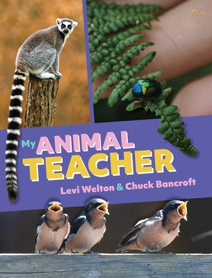 My Animal Teacher - Levi Welton