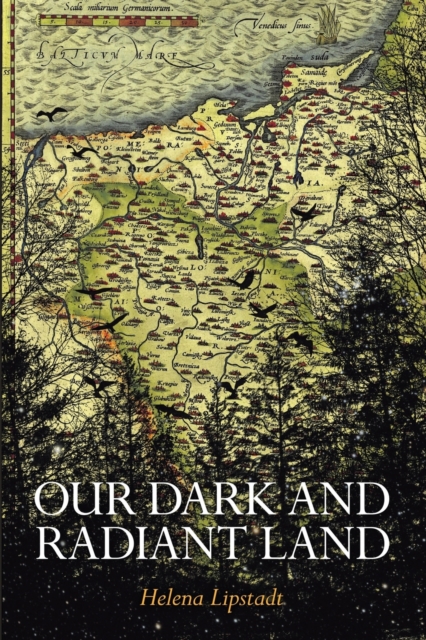 Our Dark and Radiant Land - Helena Lipstadt