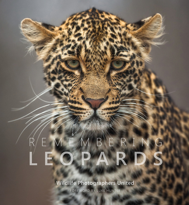 Remembering Leopards - Margot Raggett