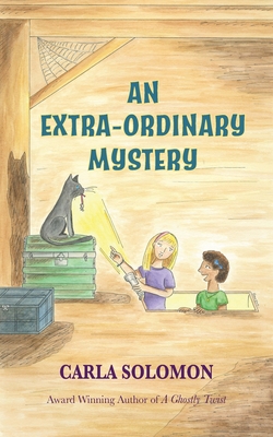 An Extra-Ordinary Mystery - Carla Solomon