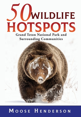 50 Wildlife Hotspots: Grand Teton National Park and Surrounding Communities - Moose Henderson