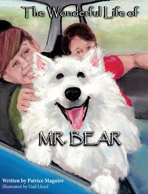 The Wonderful Life of Mr. Bear - Patrice Maguire