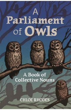 A Parliament of Owls: A Book of Collective Nouns - Chloe Rhodes