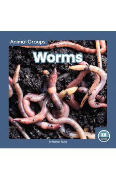 Coperta cărții 'Worms - Dalton Rains'