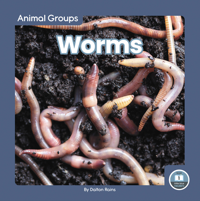 Coperta cărții 'Worms - Dalton Rains'