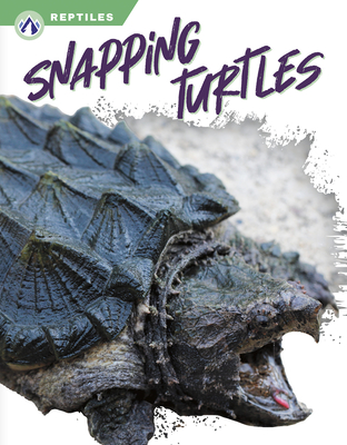 Coperta cărții 'Snapping Turtles - Shannon Jade'