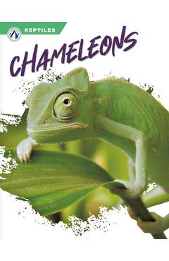 Coperta cărții 'Chameleons - Megan Gendell'