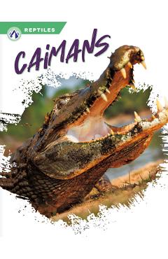 Coperta cărții 'Caimans - James Bow'