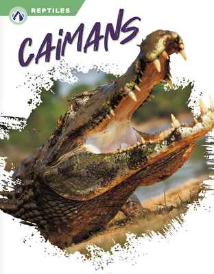 Coperta cărții 'Caimans - James Bow'