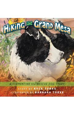 Hiking the Grand Mesa: A Clementine the Rescue Dog Story - Kyle Torke