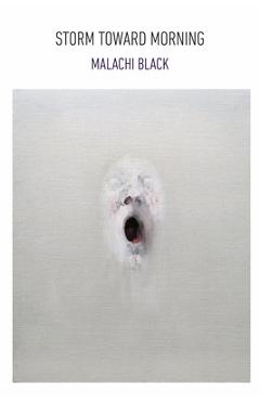 Coperta cărții 'Storm Toward Morning - Malachi Black'