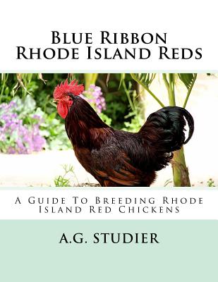 Blue Ribbon Rhode Island Reds: A Guide To Breeding Rhode Island Red Chickens - Jackson Chambers