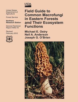 Field Guide to Common Macrofungi in Eastern Forests and Their Ecosystem Functions - United States Department Of Agriculture