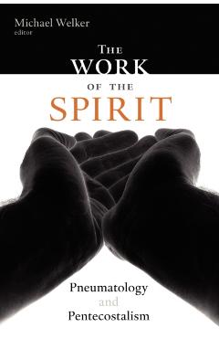 The Work of the Spirit: Pneumatology and Pentecostalism - Michael Welker