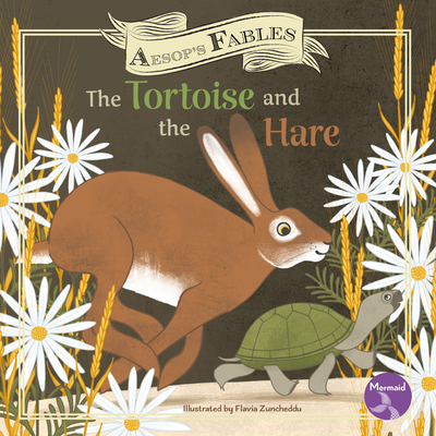 Coperta cărții 'The Tortoise and the Hare - Shannon Anderson'