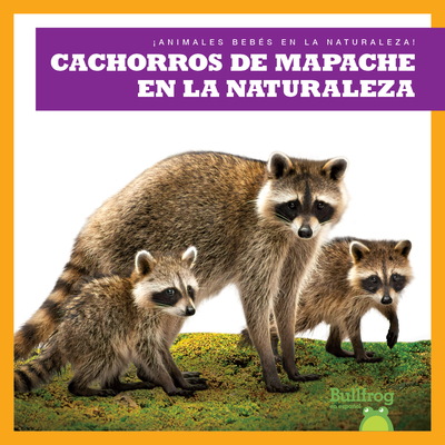 Cachorros de Mapache En La Naturaleza (Raccoon Cubs in the Wild) - Katie Chanez