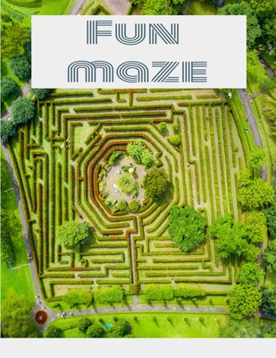 Coperta cărții 'Maze Book - Easy to Moderate to Challenging Puzzles: Maze Puzzle Book - Easy to Moderate to Challenging Puzzles: with'