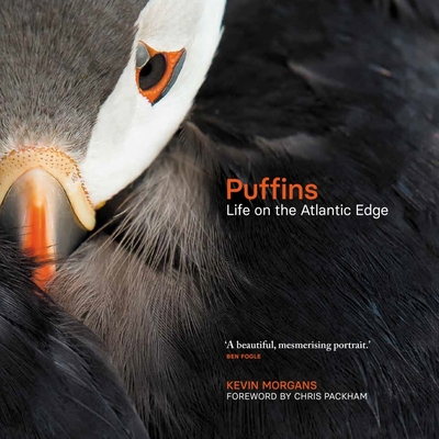 Puffins: Life on the Atlantic Edge - Kevin Morgans