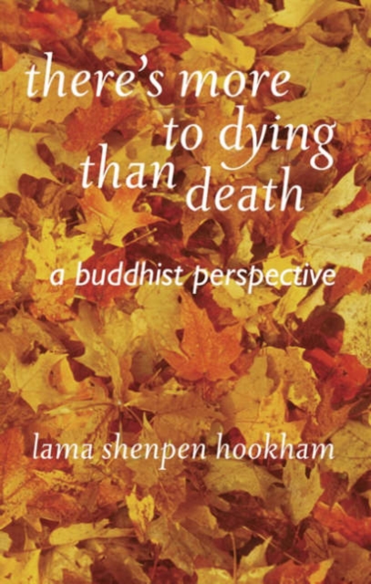 There's More to Dying Than Death: A Buddhist Perspective - Lama Shenpen Hookham