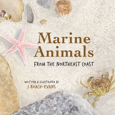 Marine Animals: from the Northeast Coast - Erin M. Oliveira