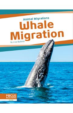 Coperta cărții 'Whale Migration - Lisa Bullard'