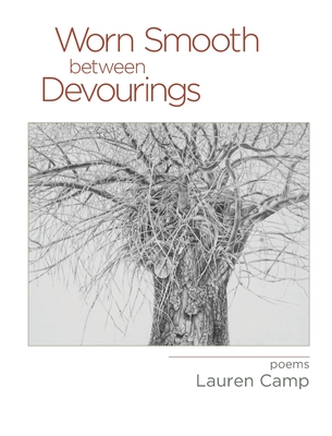 Worn Smooth between Devourings - Lauren Camp