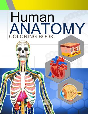 Coperta cărții 'Human Anatomy Coloring Book: Anatomy & Physiology Coloring Book 2nd Edtion - Dr Rodney M. Strickland'