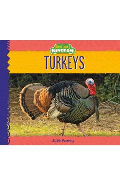 Coperta cărții 'Turkeys - Julie Murray'