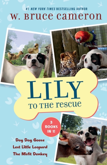 Lily to the Rescue Bind-Up Books 4-6: Dog Dog Goose, Lost Little Leopard, and the Misfit Donkey - W. Bruce Cameron
