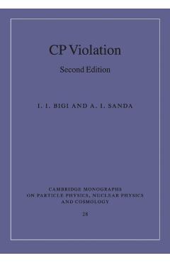 Coperta cărții 'Cp Violation - I. I. Bigi'