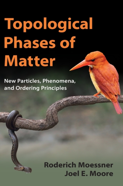 Topological Phases of Matter - Roderich Moessner