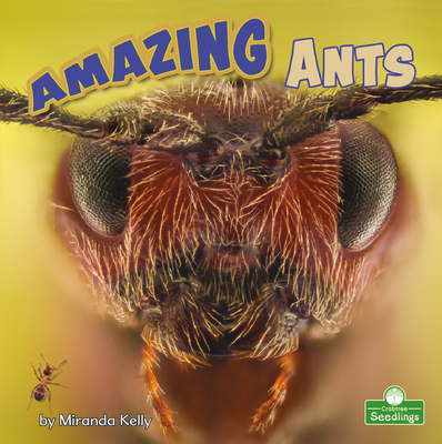 Amazing Ants - Miranda Kelly